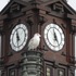 20120423011755-hoboken_-_clocktower_bird