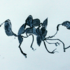 20120423023315-flativore