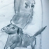 20120423023520-dashshund_ushankablue