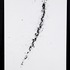 20120423045957-horiuchi1