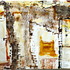 20120423062159-cuenca_4x2