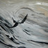 20120423151024-seabird5