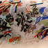 20120424043444-spider_bardazzi_s