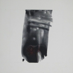 Dido & Aeneas Series,Nancy Charak