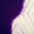 20120424143637-ned_vena_clifton_benevento