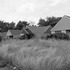 20120424152811-davidbechtol_langolierbensenville_pc2897prarc