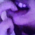 20120424232432-01__42412