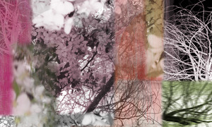20120425053533-spring4