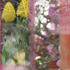 20120425055535-spring9