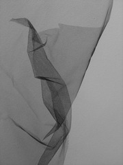 ,Mitzi Pederson