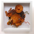 20120425223218-amygmarsh1