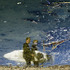 20120426000758-lbcreflect-4