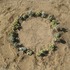 20120426092009-flora-ground72