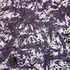 20120426211156-violet_movement