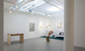 20120426223343-paf_install_7
