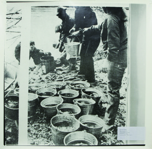 20120427092255-fluxus_allan_kaprow_course_lr
