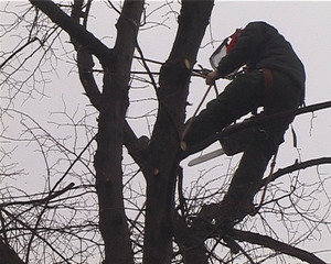 Still from Drift,Anne Tallentire