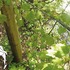 20120427112703-fd07