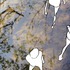 20120427120349-mvi_2664_copy_copy