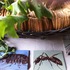 20120427164557-img_2449