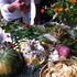 20120427165450-img_2547