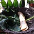 20120427205122-img_2800