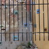 20120427155352-wall_marseille