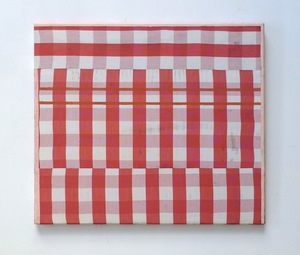 20120427192432-red_checkered__2012
