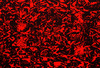 20120428030344-03__42712