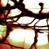 20120428175117-assemblage_chain
