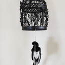 20120428183338-stacey_