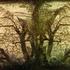 20120428185310-dscn1691