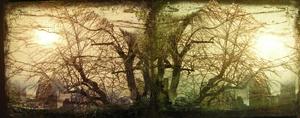 20120428185310-dscn1691