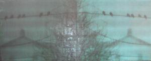 20120428185611-dscn1690