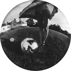 ,Charles Swedlund