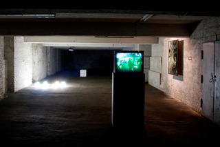 Artists of the Gallery,Alexandra Hopf