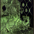 20120429111414-ah_08_laloidevoleur_spraypaintonglass_158x98cm