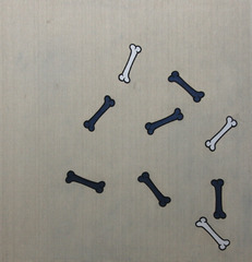 Knochen-bild,Dominik Steiner
