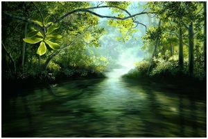 20120429162111-loxahatchee_evening_24x36