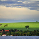 20120522160729-dsc_0498