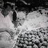 20120430001854-williamhale_grandcentralmarket_2465_smaller