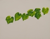 20120430015827-ellsworth-kelly_poster