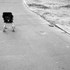 20120430024055-museum_berlin_alfredo_jaar_a_new_world_1990