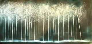 Foreste Profonde II,Alberto Zamboni