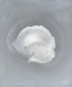 20130509210817-occurrence1_450