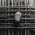 20120430220853-suspended_refuge
