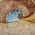 20120430221722-in_the_womb_36x48