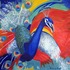 20120430230413-monsieur_peacock