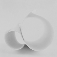 Untitled,Go Sugimoto
