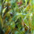 20120501190535-garden_party